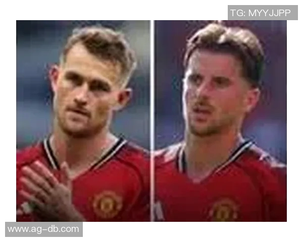 热刺此前被罚75万磅！一球迷涉嫌对芒特进行言语辱骂被捕